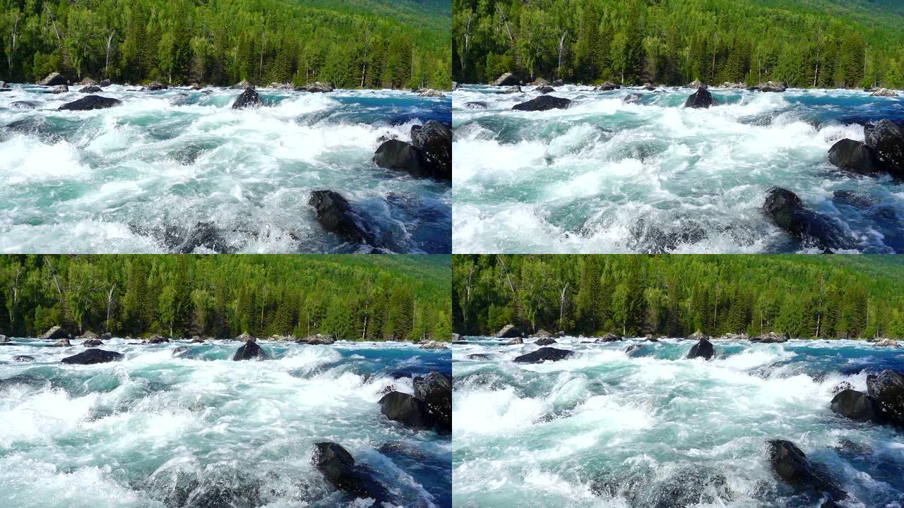 河流中的流水原始深林一条大河湍急河水