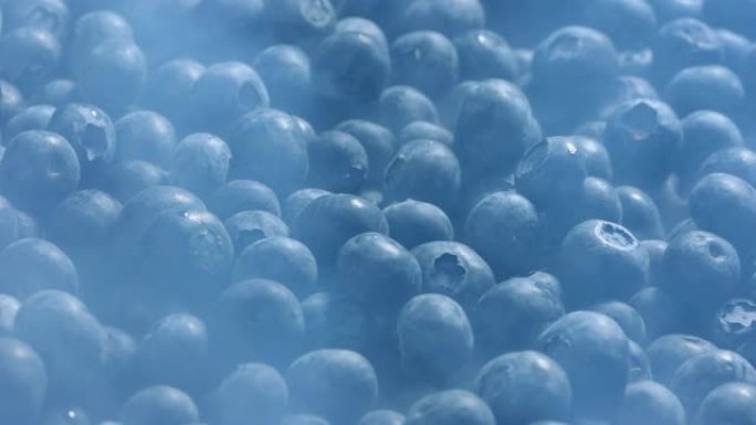 冷冻蓝莓上的冰冷蒸气