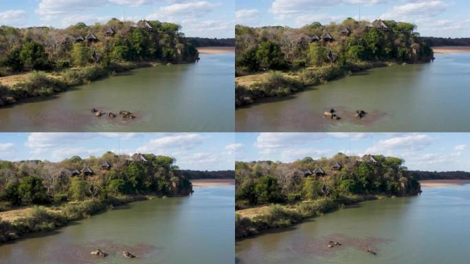 一群大象在津巴布韦Save河上的小屋前游泳的鸟瞰图