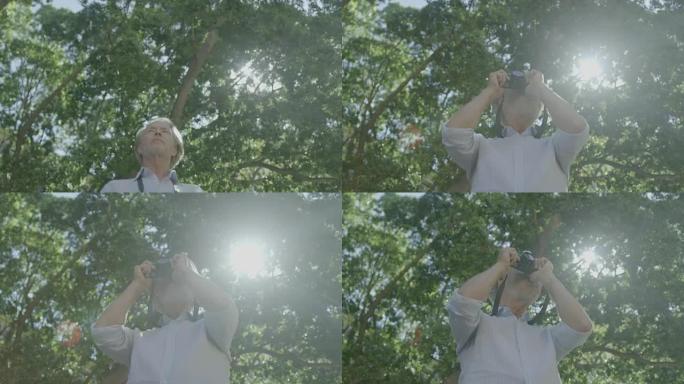 高级男子用相机对着树木拍照