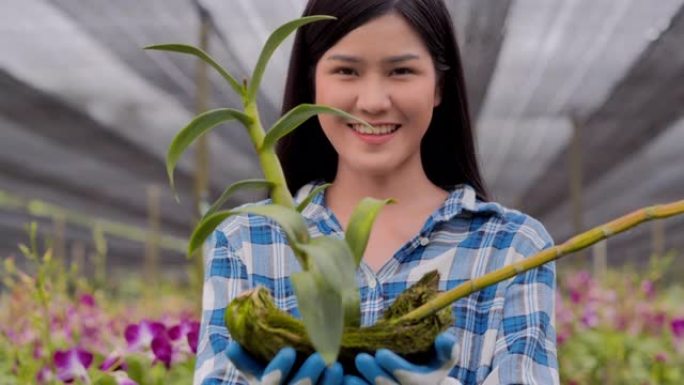 肖像年轻的十几岁的女孩在她的花园里收获兰花和工作看着相机。农业，园艺，农业，收获和人民，有机农业，植