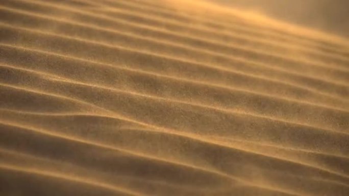 沙漠沙丘的慢动作镜头在风中荡漾