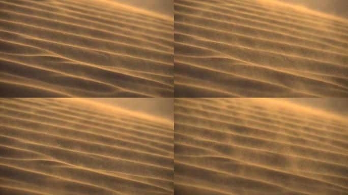 沙漠沙丘的慢动作镜头在风中荡漾
