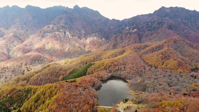日本长野Kagamiike pond的多莉 (dolly) 在秋天的左边鸟瞰图。