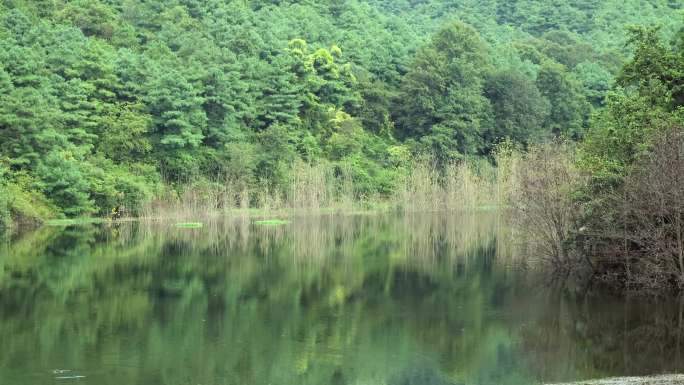 户外风景