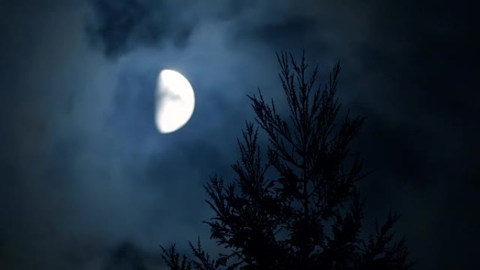 月亮与松树在附近云层拍摄天空拍摄
