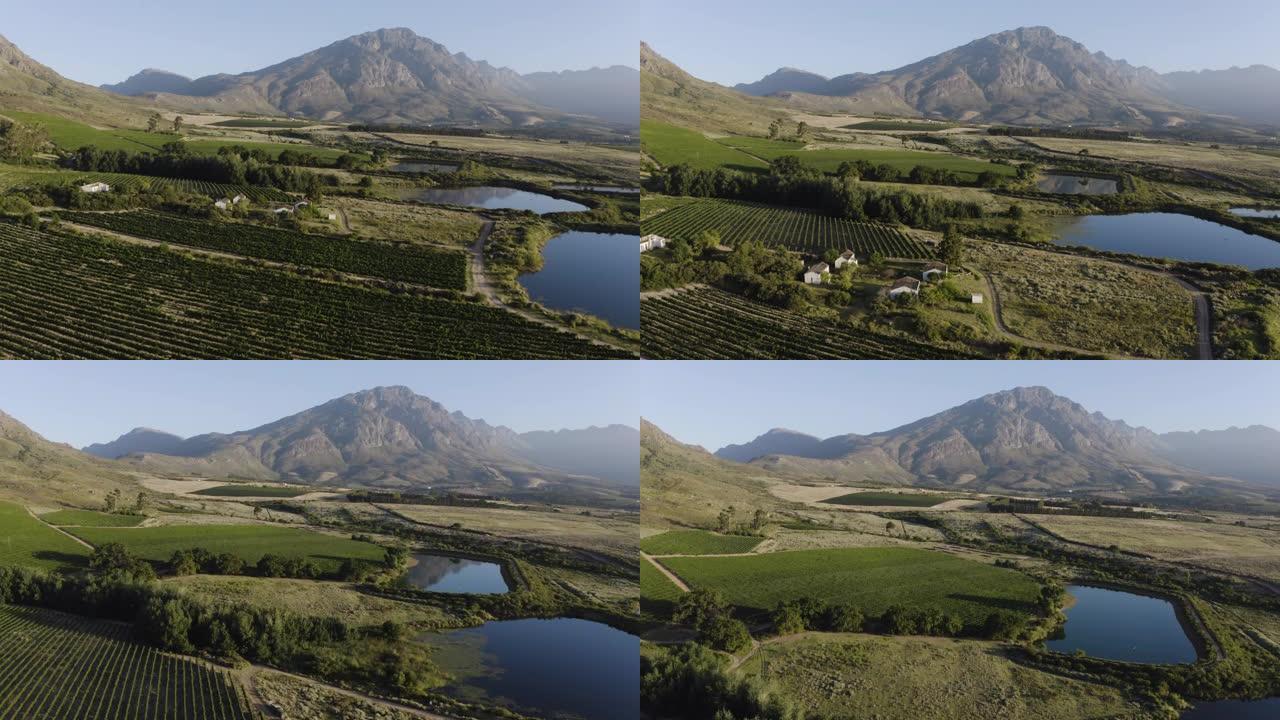 南非西开普省风景如画的葡萄酒庄园上的葡萄园上空飞行的4k美丽风景鸟瞰图