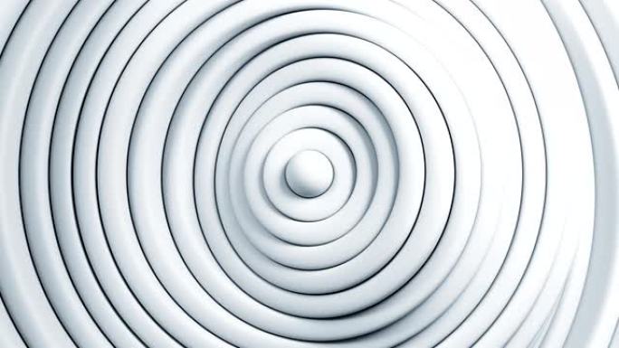 美丽抽象的白色圆圈挥舞着无缝的背景。卷清洁环转动模式的循环3d动画。商业和技术概念。