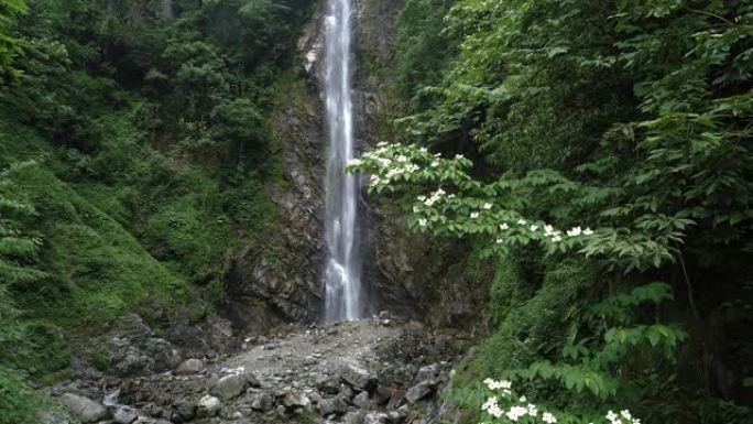 夏季山区的瀑布瀑布森林绿树