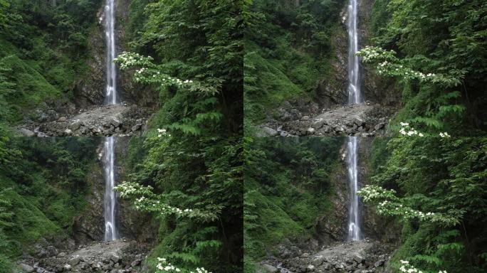夏季山区的瀑布瀑布森林绿树