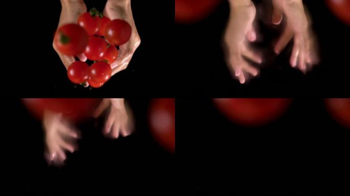番茄的慢动作掉入黑色背景的相机中。