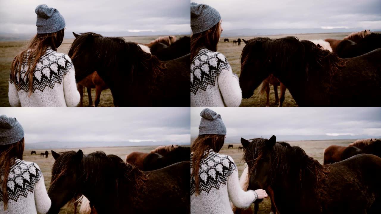阴天，年轻女子在田野上放牧冰岛马。游客欣赏风景和农场动物。