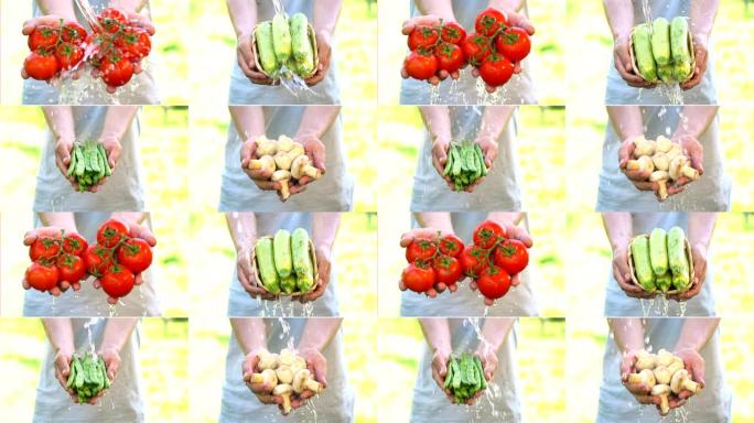 农民收获水果和蔬菜，四个不同视频的拼贴画。慢动作。