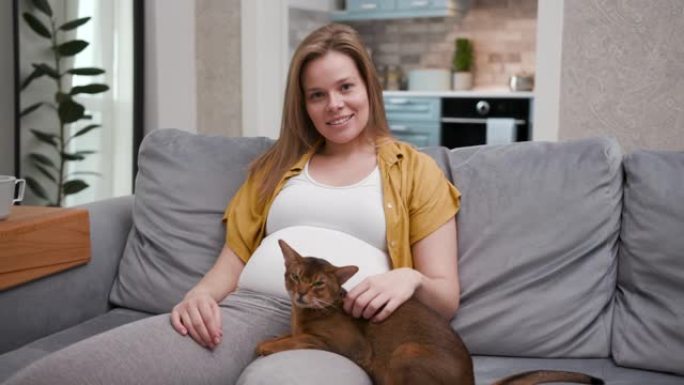 可爱可爱的30多岁的女人坐在沙发上抚摸有趣的猫。年轻怀孕的妈妈在家里放松，享受瞬间生活。平静的家庭休