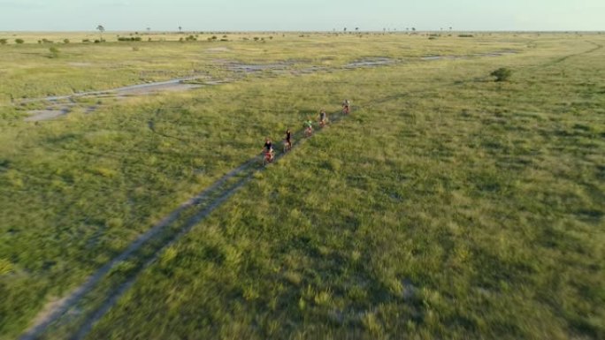 博茨瓦纳Makgadikgadi平底锅边缘享受自行车骑行的游客的4k空中缩小视图