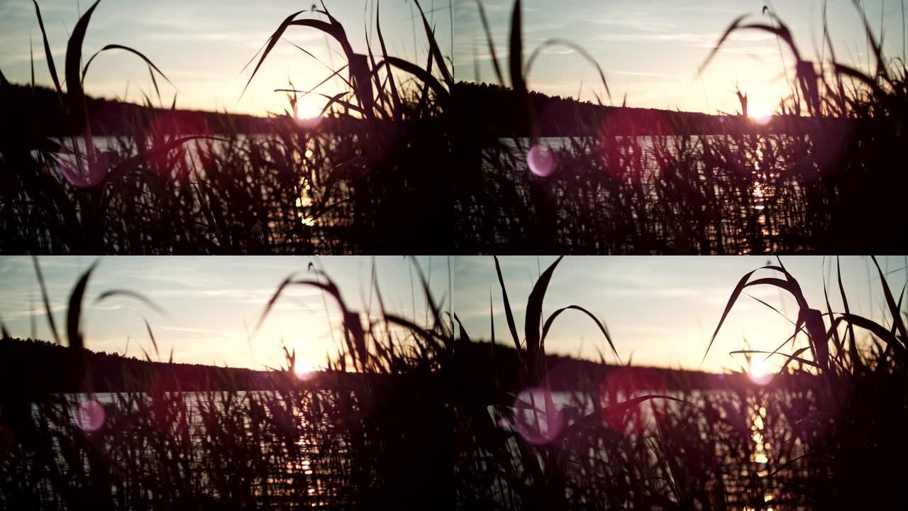 日落时的湖岸。浪漫的天空在水中反射