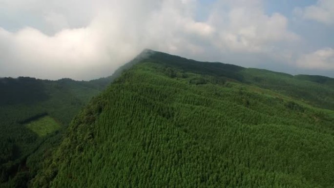 中国四川树木和山脉景观的航拍
