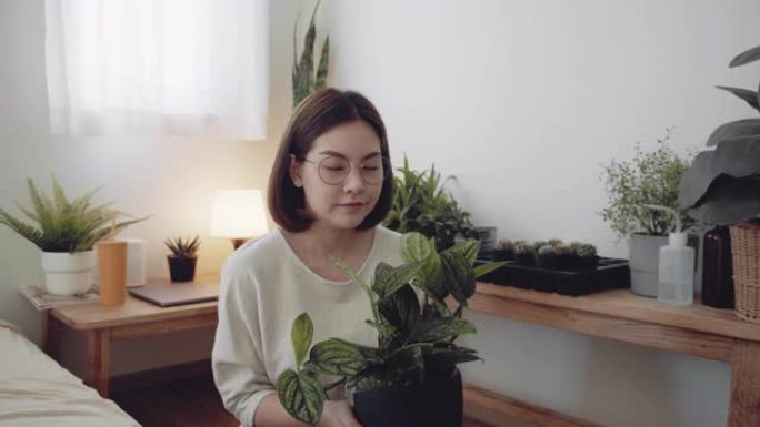 千禧一代女性在家给室内植物浇水
