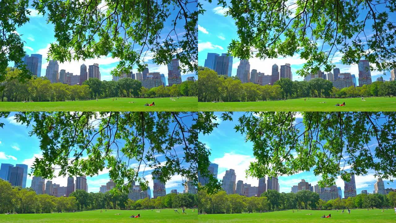 夏日阳光中央公园。纽约