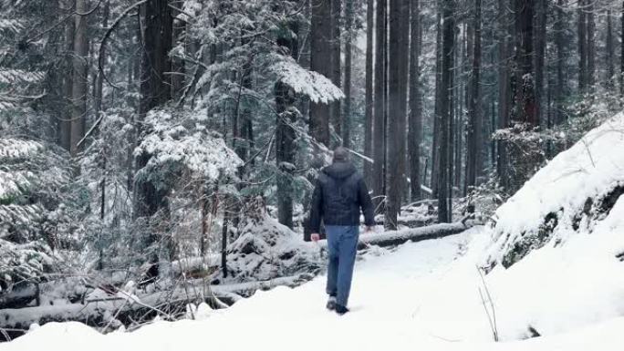 人在积雪的森林中行走