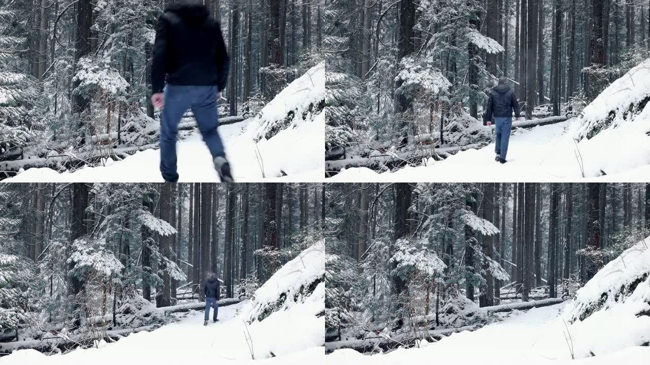 人在积雪的森林中行走