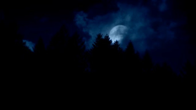 树木上方露出满月月黑风高夜