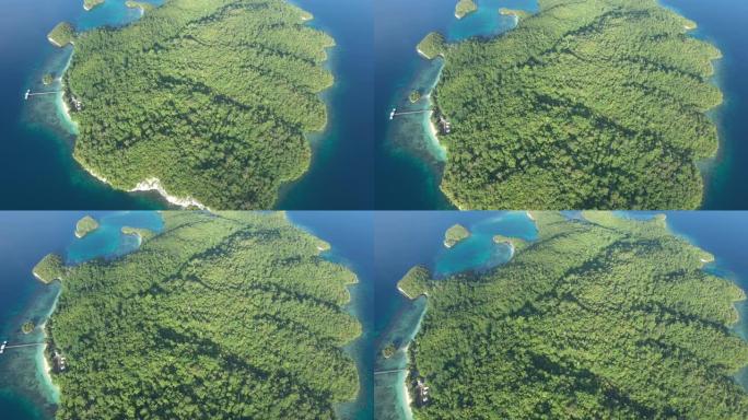 是贝壳吗？一只手？不，我是拉贾·安帕特