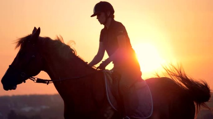 女骑师在日落时骑着一匹棕色的马