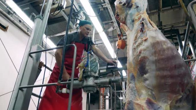 食品生产、肉类、猪肉加工厂。屠宰场工人正在用机械锯切肉