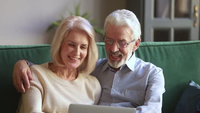 快乐的老夫妻笑着用笔记本电脑上网购物