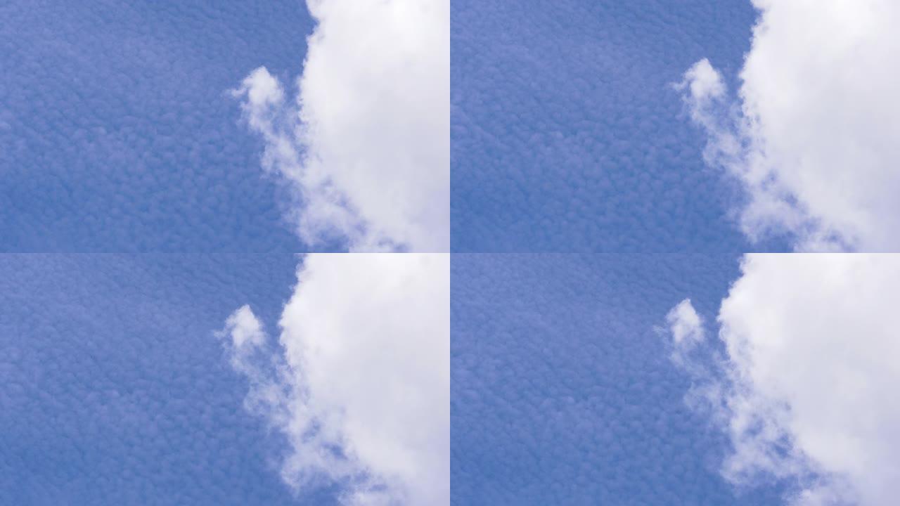 特写: 晴天，大浮肿的白云沿着晴朗的蓝天飘移