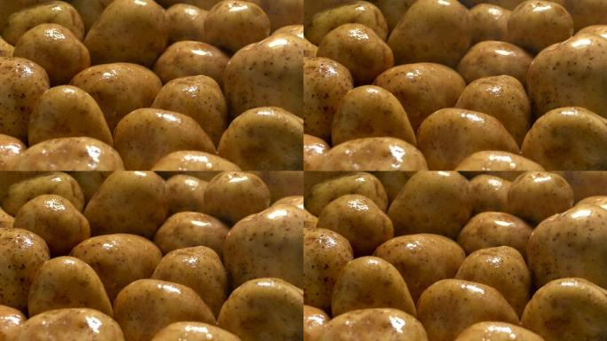 土豆用细喷雾清洗土豆用细喷雾清洗