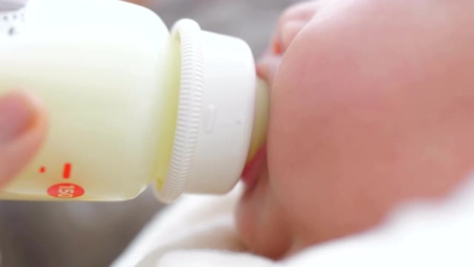 新生婴儿喝牛奶小月龄宝宝实拍视频