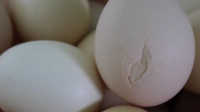 破碎的鸡蛋蛋壳特写坏鸡蛋营养