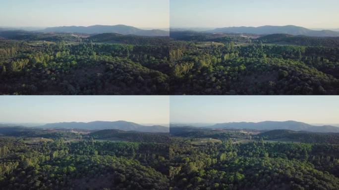 被森林覆盖的西班牙山脉。鸟瞰图