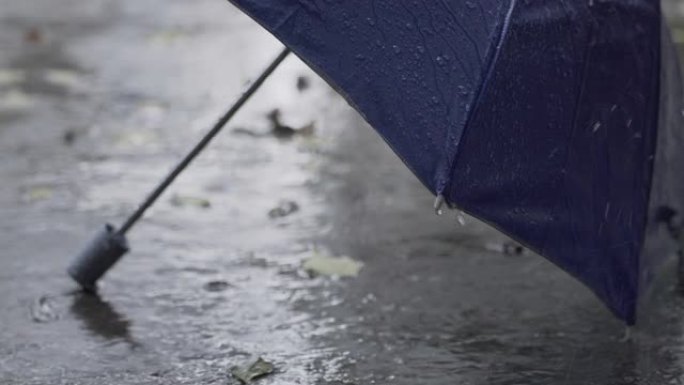 4k雨和雨伞消息失望难过