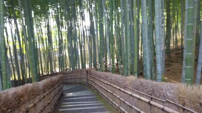 走道竹隧道命名为京都的岚山竹林，日本旅游地标