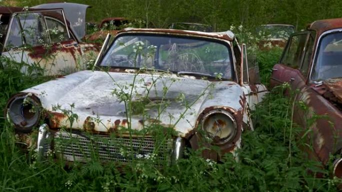 旧车垃圾场。在绿草丛中拍摄生锈的汽车。UHD, 4K