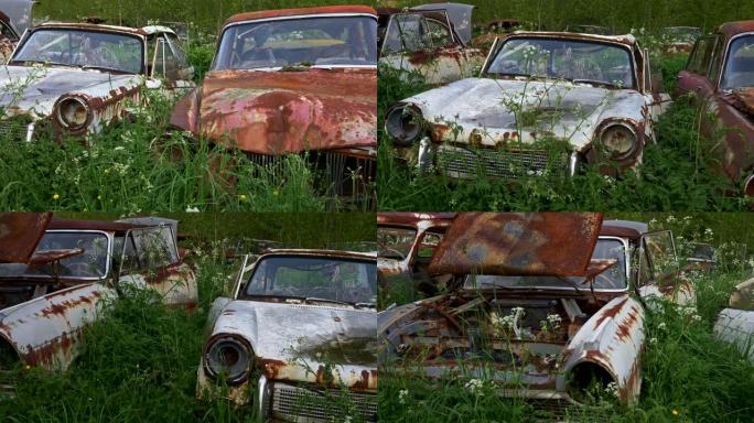 旧车垃圾场。在绿草丛中拍摄生锈的汽车。UHD, 4K