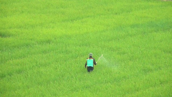 越南农村的男性农民耕种庄稼并为稻田浇水。