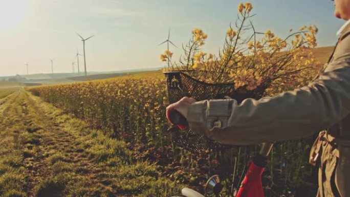 SLO MO女人在远处用风力涡轮机沿着油菜籽的田野推自行车