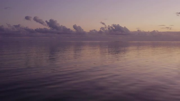 黄昏时飞越平静的紫色海洋