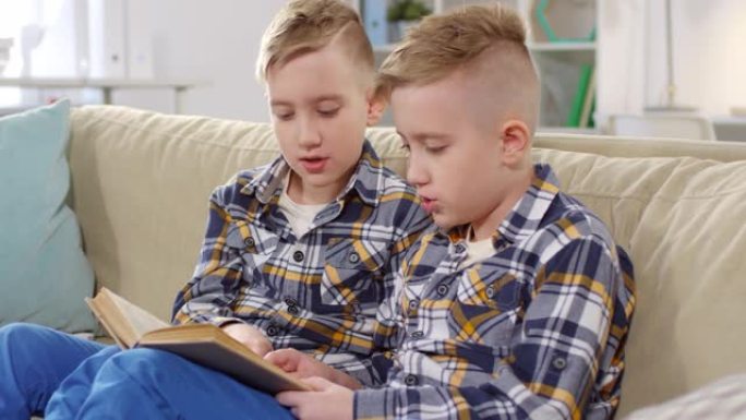 高加索双胞胎男孩一起读书