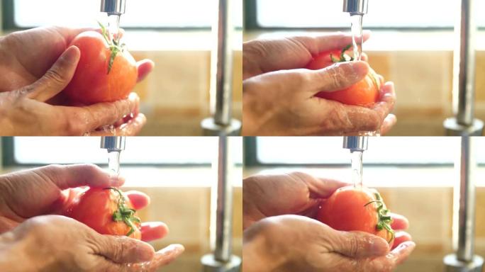在厨房洗手西红柿