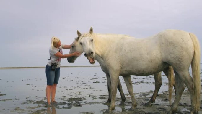女人在海滩上抚摸卡马格的马