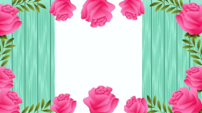美丽的玫瑰花方形框架动画