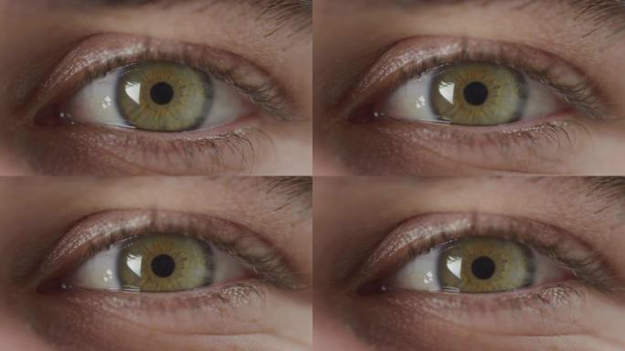闪烁的绿色眼睛