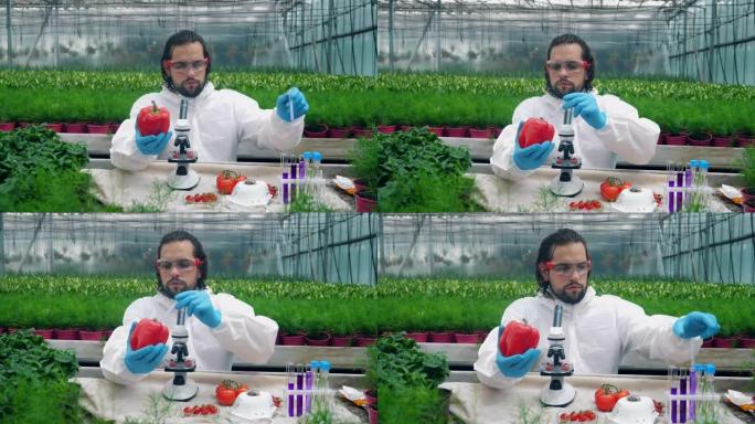 男性农学家正在用化学液体填充红辣椒