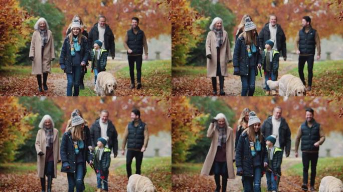 微笑的多代家庭与狗一起沿着秋天的乡村漫步