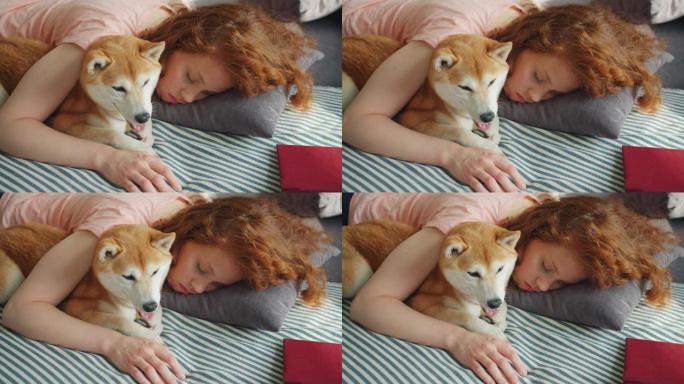睡在家里的红发学生抱着一起躺在床上的柴犬